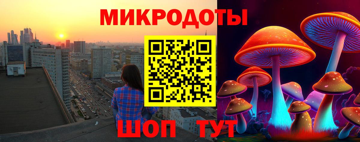 Псилоцибиновые грибы Cubensis Копейск