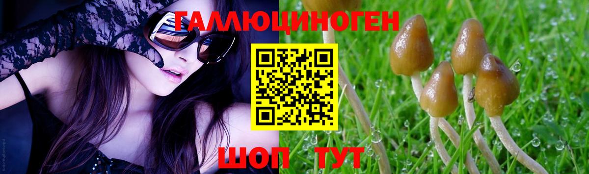 Копейск  Псилоцибиновые грибы Magic Shrooms  Вход с VPN 
